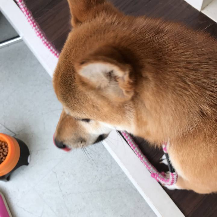 225a778a bc3e 4547 a16c 1ac66168e773