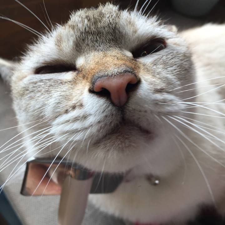 225abd6a 3d13 4810 84d6 f7c9dee34cf2