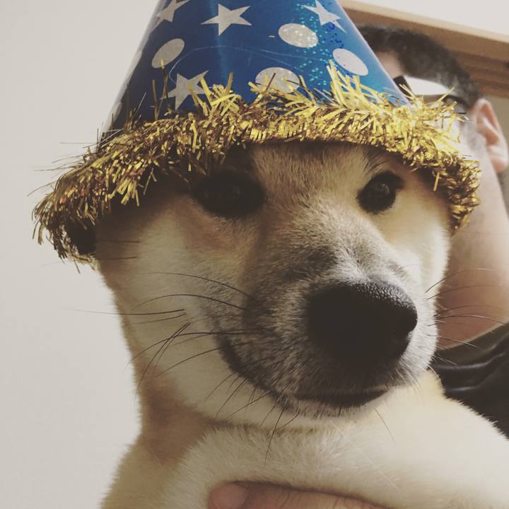 225b05c6 760e 4872 b3be e097a6141fda