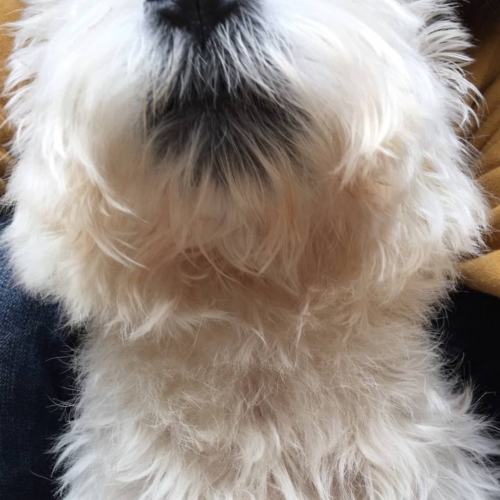 225b440b cc25 4442 8613 f3c63c12ccff