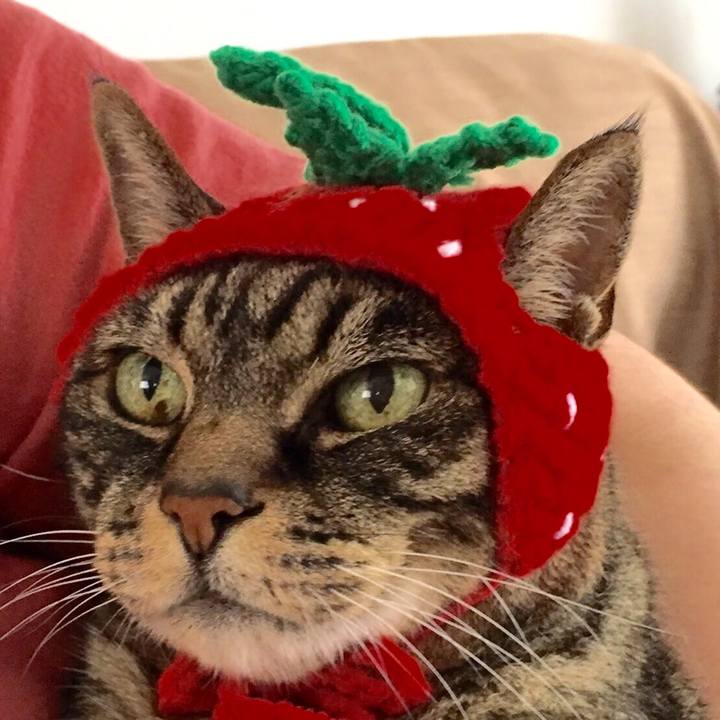 225b8ade 7a88 4d7b a9b2 8a141f54946e