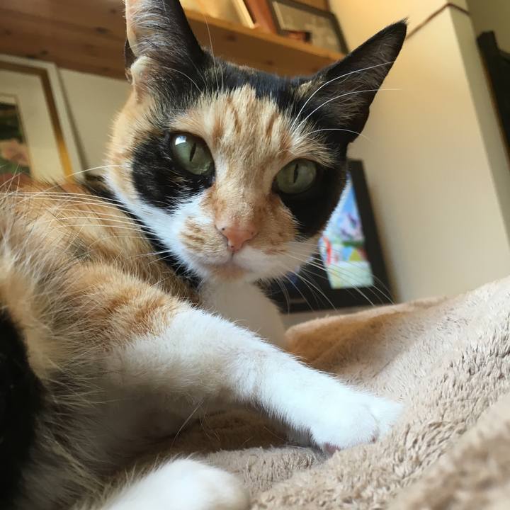 225ba7e0 b9f7 4b8a 8fe5 58afe4ea21c4