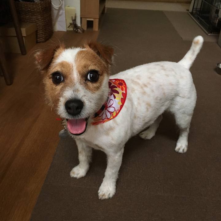 225c8900 a6a1 4cf2 9a39 74f72b83ff3a