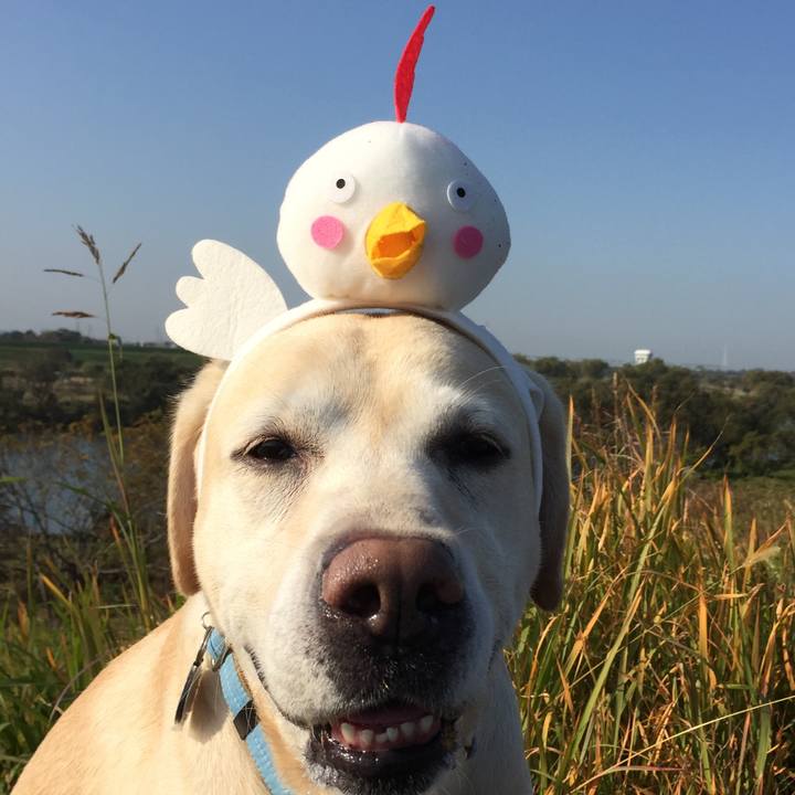 225cc2ea 4b4b 4b74 ba24 7b41909bb710