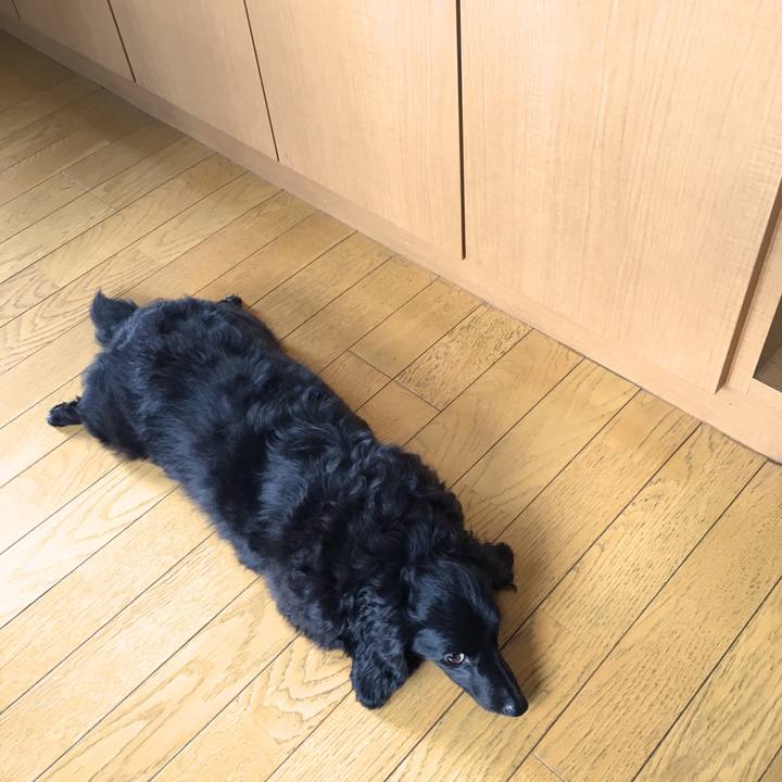 225cf774 7b3a 4ed5 851b 54feb6c6f6fa