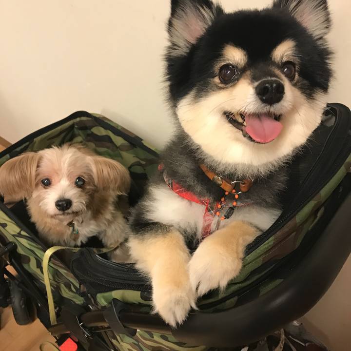 225d1aeb eae5 4d9e 8472 ab06dd4d1ba7