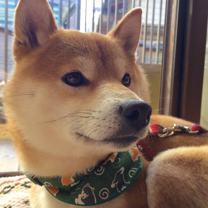 225ea265 bb84 4a01 8481 441c1c31dc94