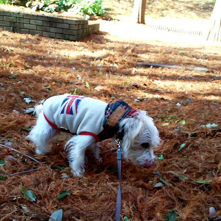 225ea7c9 28d1 4a45 81be 4d4b3159a8c0