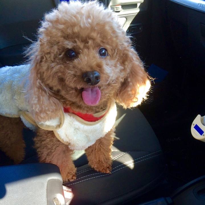 225f24e4 9fa3 482d b4fe 318555694925