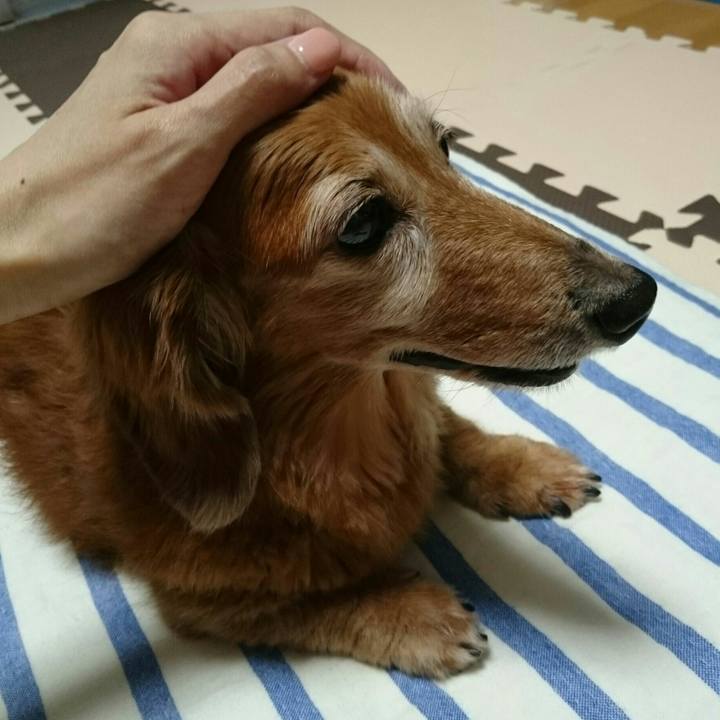 2260038d e088 4738 bbe9 6222fe592b57