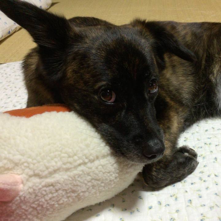 226132df d909 4603 a7b0 1d6c8326b922