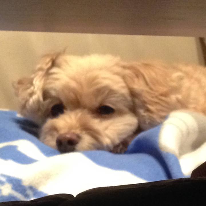 22614b6c 3846 4fa8 82e2 f618d8298453