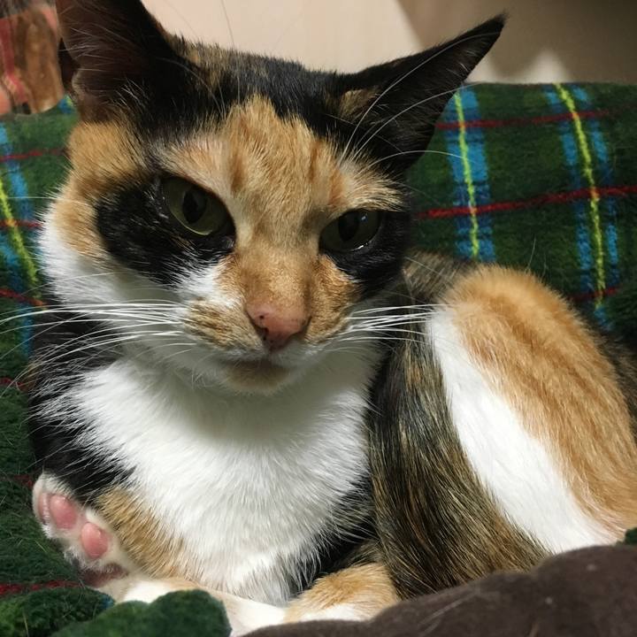 22614def 0a0b 4ff4 8534 2ff73c3dbb2e