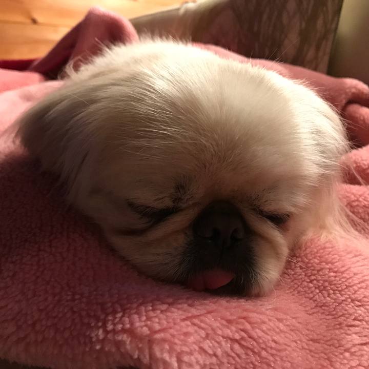 22622843 f5e6 42b5 a58c 7459803029a6