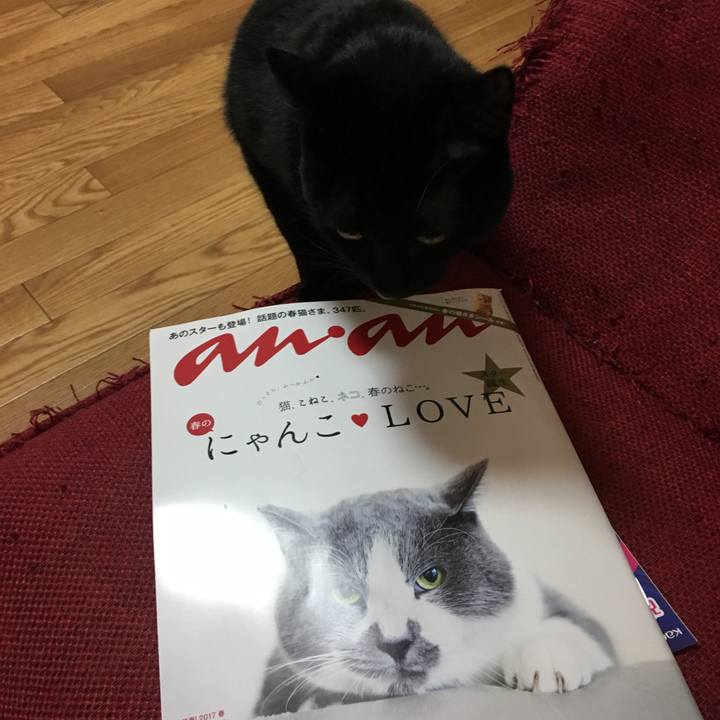 2262cc62 619d 4979 a559 aee3ee1509ab