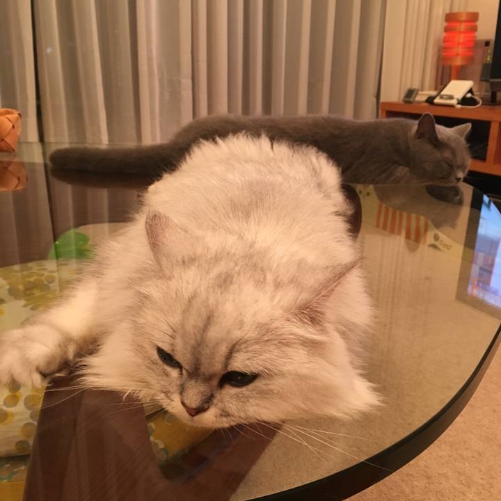 2262fac1 0836 43d9 8f0c 40eaac5160b9