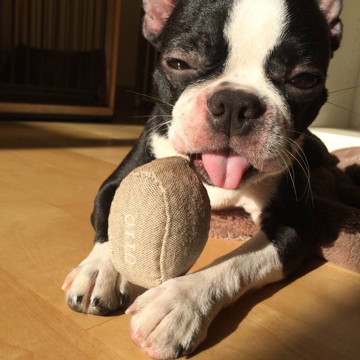 226313db e9cb 4399 a150 3afa4d7a8720