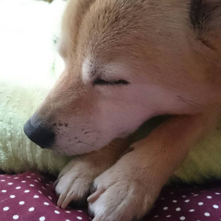 2264cde1 cee5 4227 9133 e3f463a2abe0