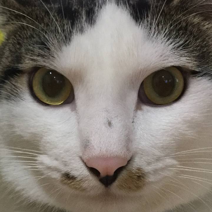 22654d01 9808 4e23 9747 4396bc17df5b