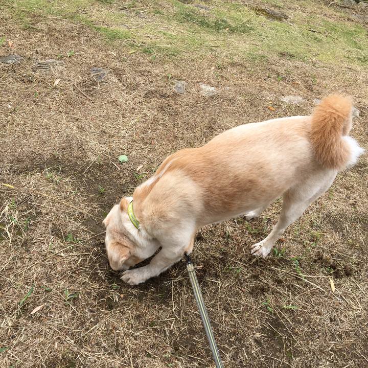 2265759b 4832 4bdb a104 d5358e7ba802