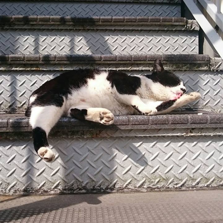 22658643 ee5b 4147 9091 cb671d48f1a6