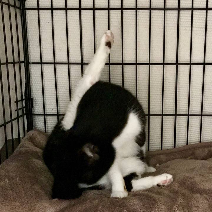 226631a2 8a32 41d2 a41e 4ddc3a550a02