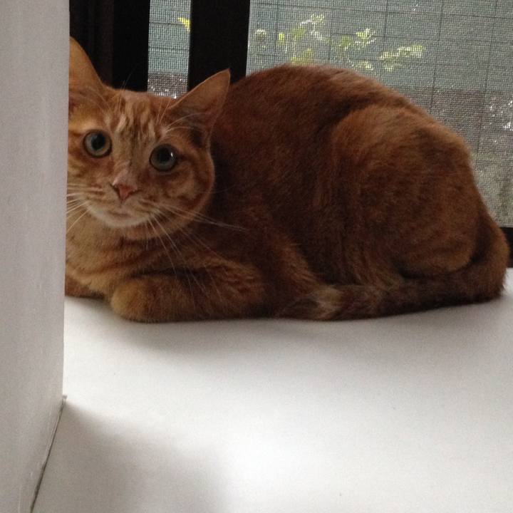 2266b0ce 500f 4fb7 bc78 291c355f6df3