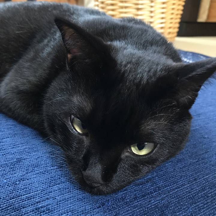 2266c91c 2d5d 4627 838b b4000bc673e0