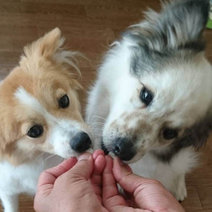 226756c1 e5d1 4a42 a91a 0142a9ed3a0f