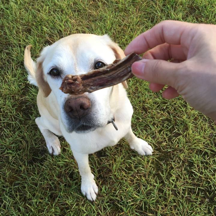 2267e3c6 a8b1 489c b816 91f82e6fd2dc