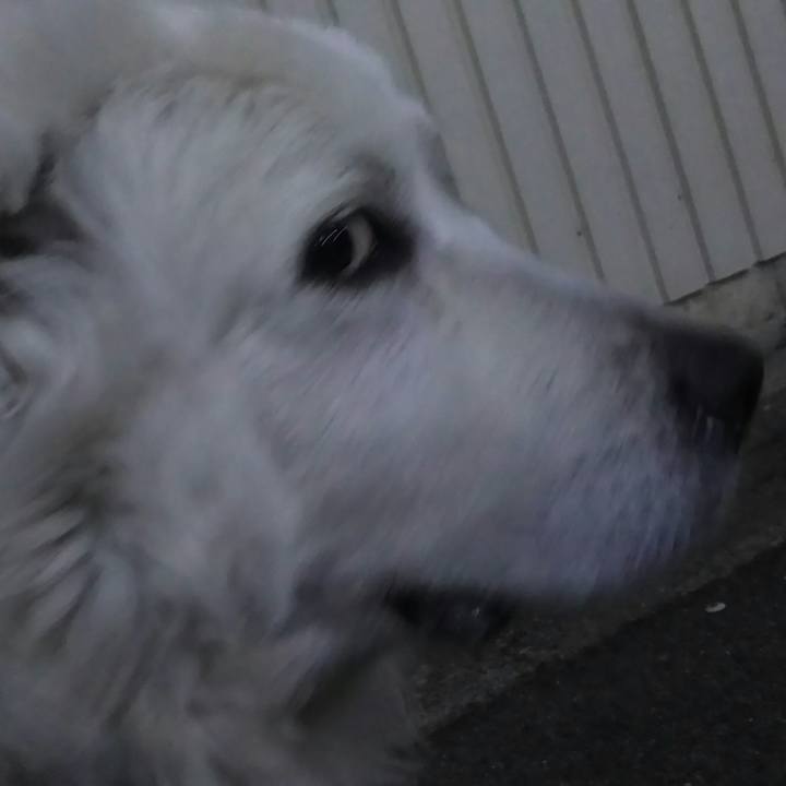 2268556a 1f06 49ea a8a1 f0d83eca906f