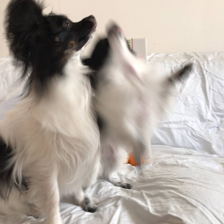 2268a7ff 1192 480e a024 dea114f63b5b