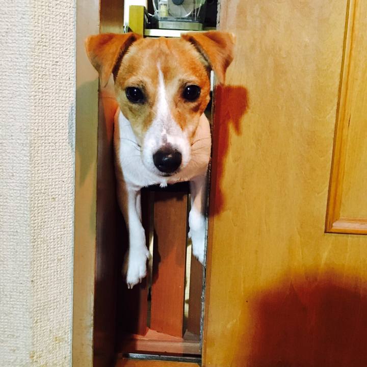 2268eee7 0d61 4030 80cf 4ea55501ee10