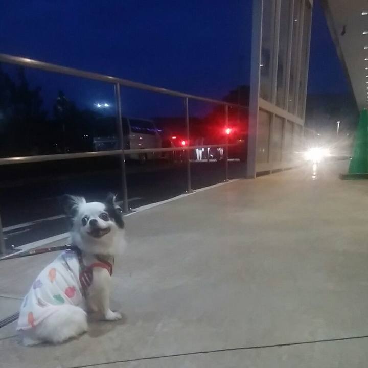 2268fcc7 ce4d 446f 93db 05e84bb61815