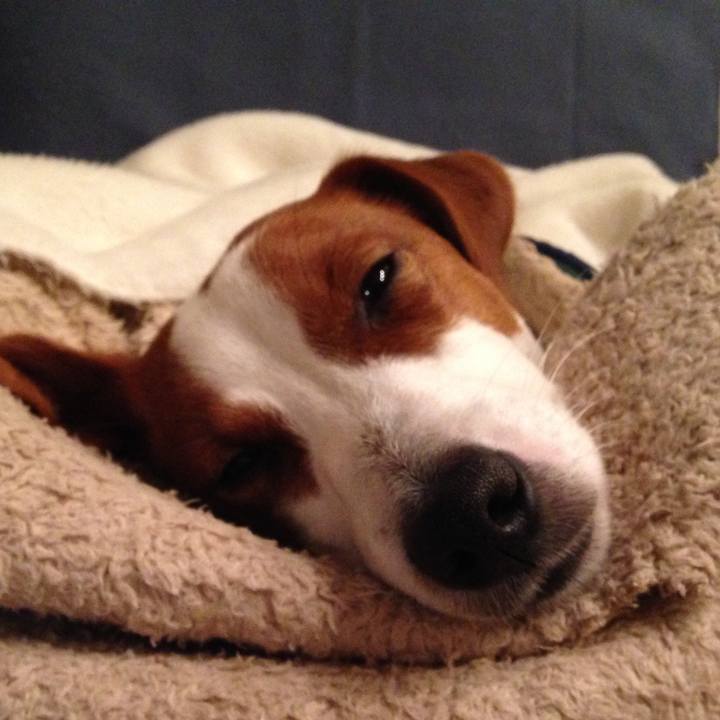 22690370 b5be 4e5f 90a4 40ae14cf09e3