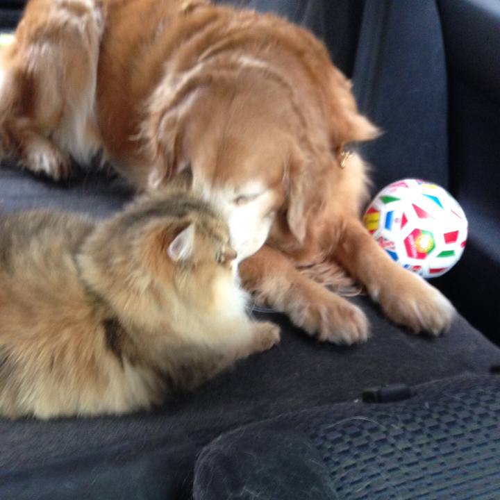 2269135c 27b7 4a84 ae34 fd605d88f462