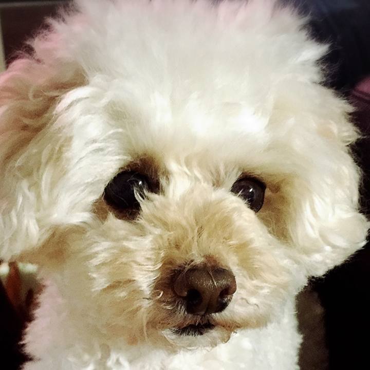 226921d3 b9e6 4178 959f 94d337fcb5a8