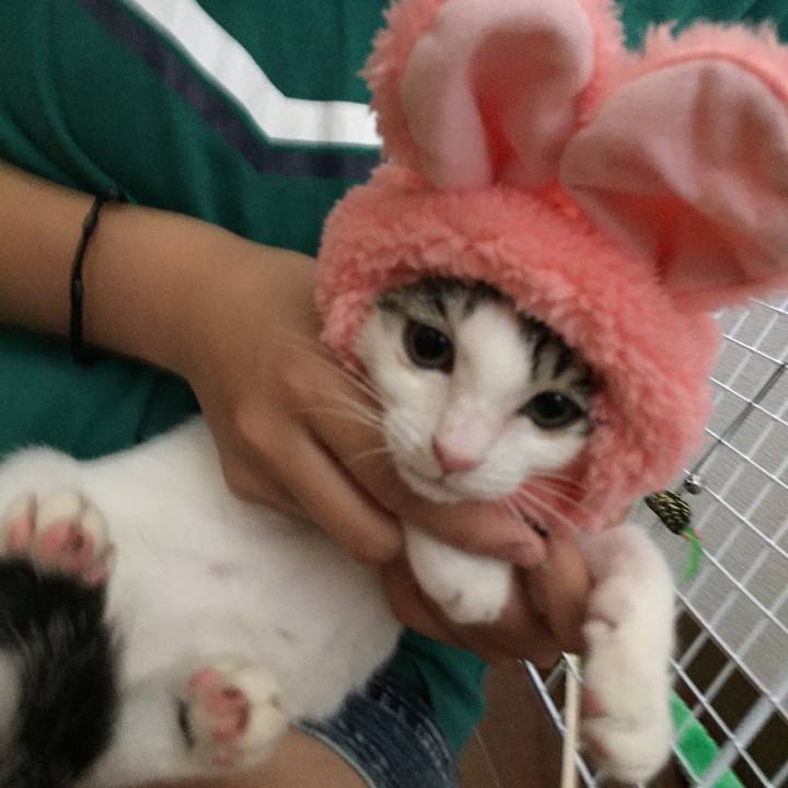 22692525 68f3 4ee7 9746 71e1c3fecbdb