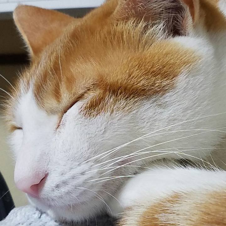 22695190 5d0a 4039 94e0 c7b55854e037