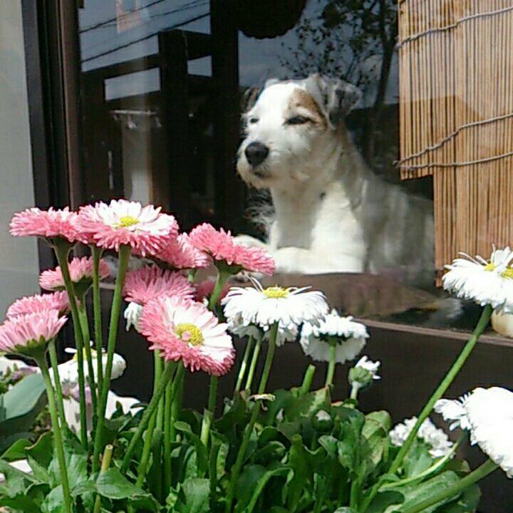 2269f4e3 04f1 425a 8c16 bc6992de1a8a