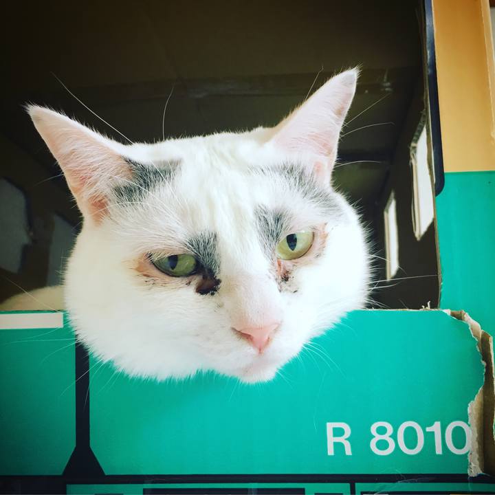 226a20e2 26d9 4ebc a0a1 37af770b6976