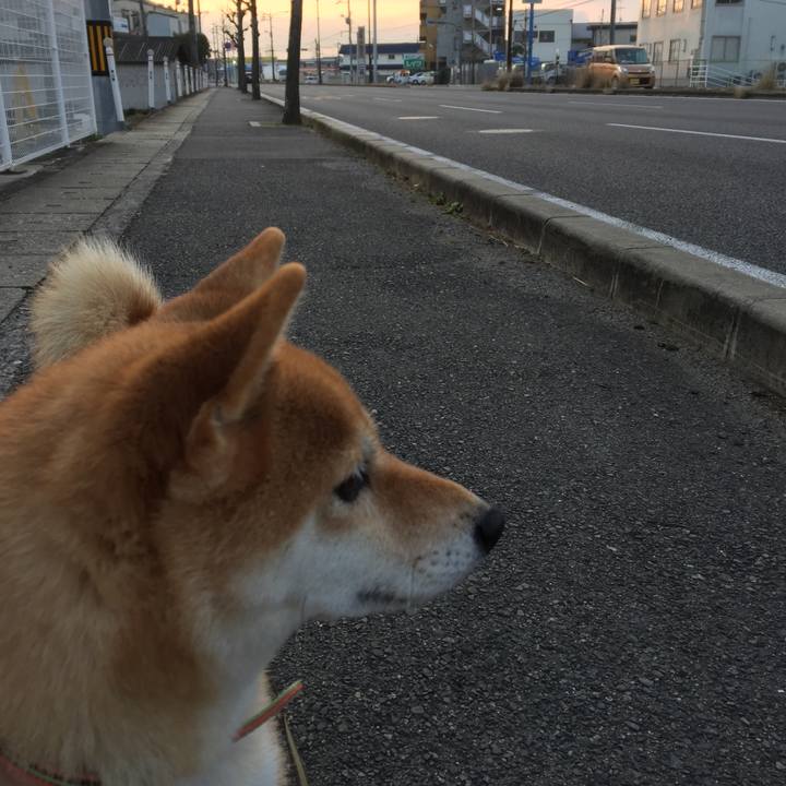 226a8367 6988 4af1 ba91 01cc41b1d24b