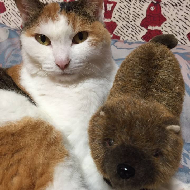 226ae4a0 c6c2 4f17 828f 8282b00cf39a