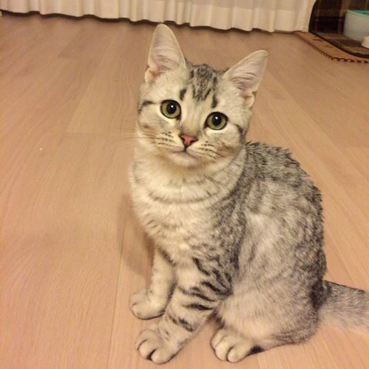 226af602 c6e3 4dd0 a9b8 784b59aac3e9