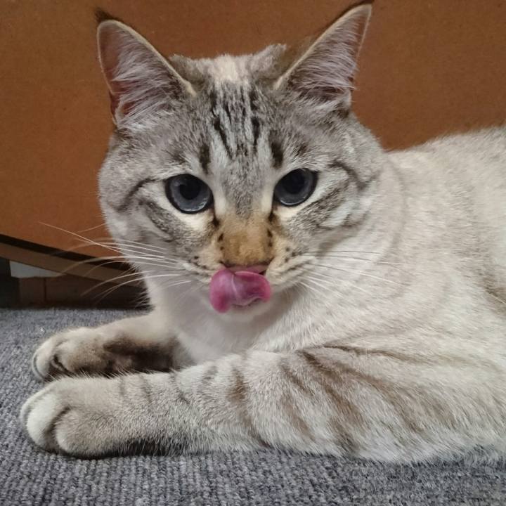 226b168d 458b 40d0 83e2 8588c050af7b