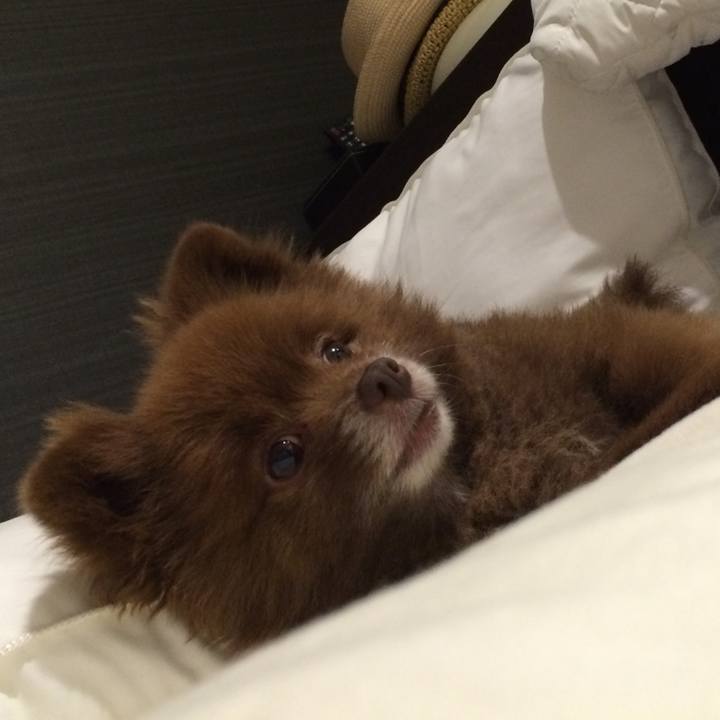 226b1bcd 139b 4ade a8e1 1d51282e5651