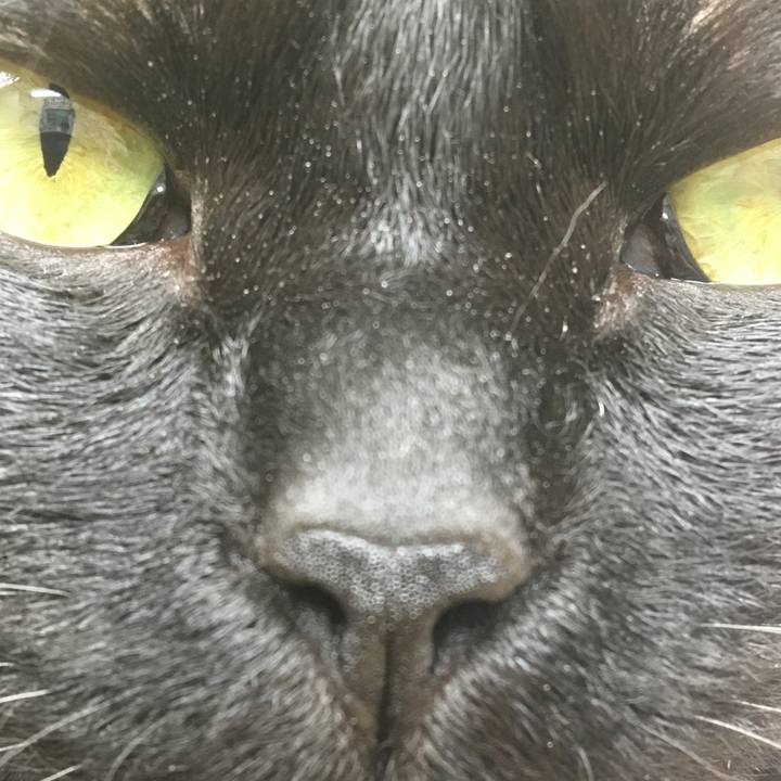 226b9e19 a751 429f 8e69 51dbf8d4975c