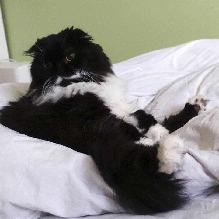 226c6118 1022 46ef 8b75 4a8474bbf651