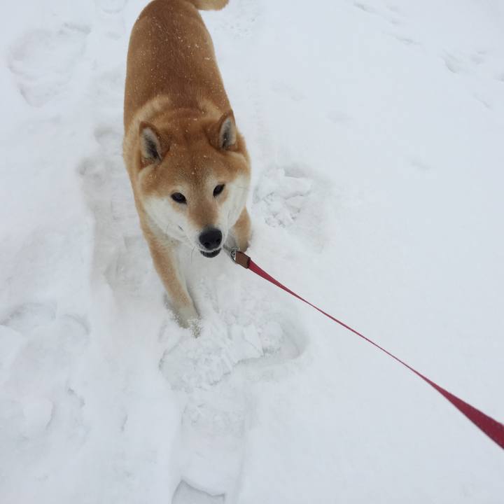 226e2ae0 b842 4223 8ecd e94f22989a51