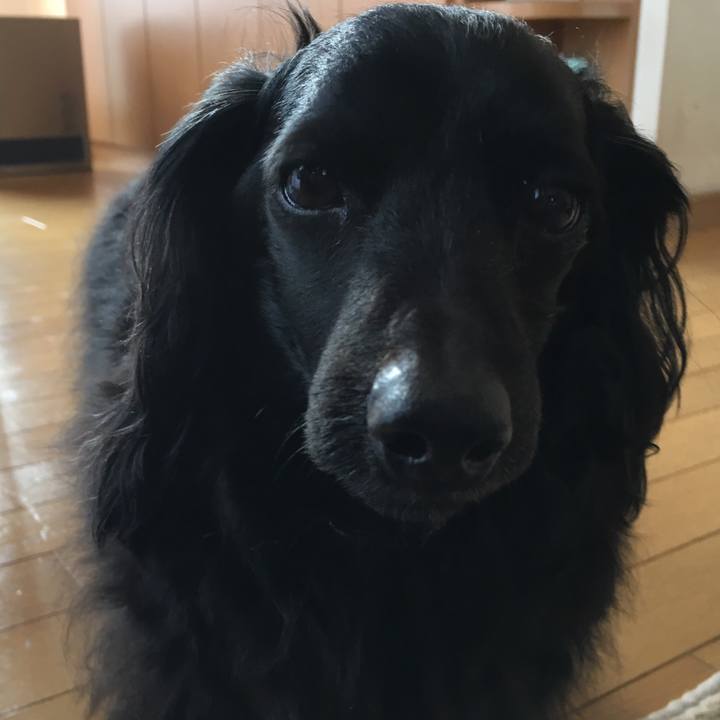 226e38d3 973c 43d1 a403 e7596e2f0396